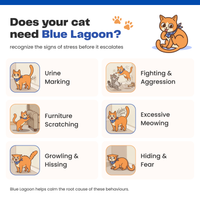 Blue Lagoon Probiotic