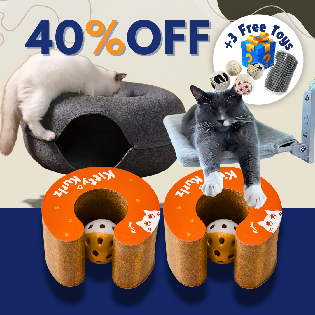 Kitty Kurlz Value Bundle