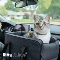 KittyMobile