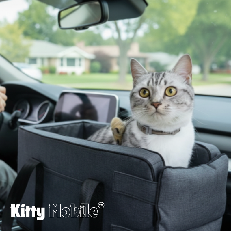 KittyMobile