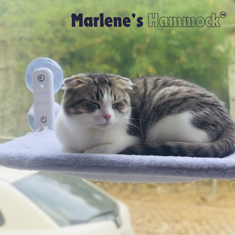 PawCurl Signature Hammock