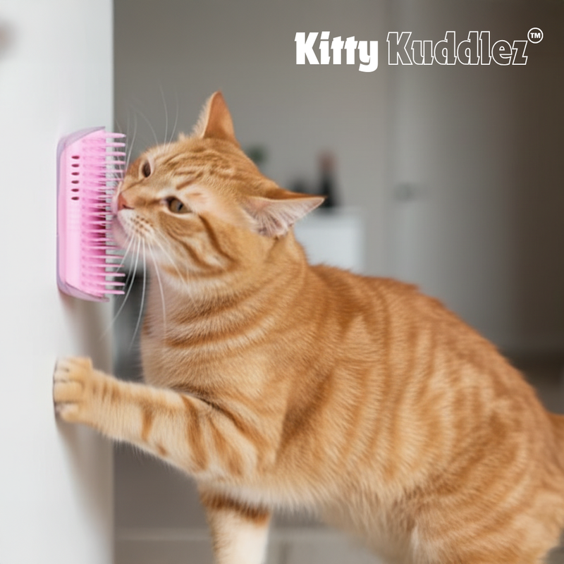 Kitty Kuddlez