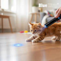 Blue Kitty