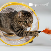 Kitty Tunnel