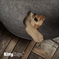Kitty Napz