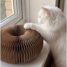 Happy cat